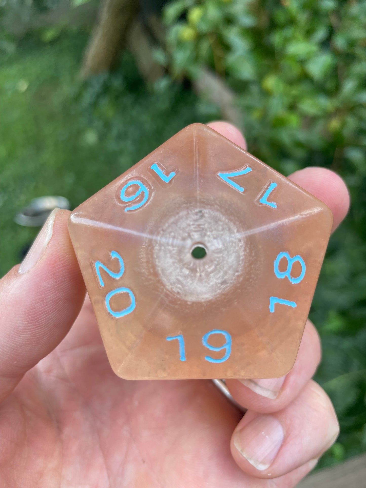 別 D20 B or C grades